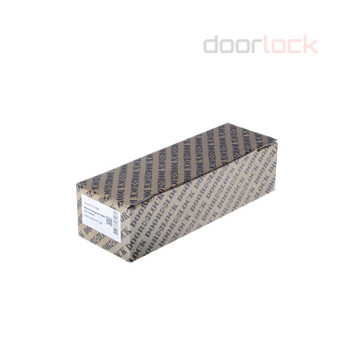 Доводчик DOORLOCK SMART